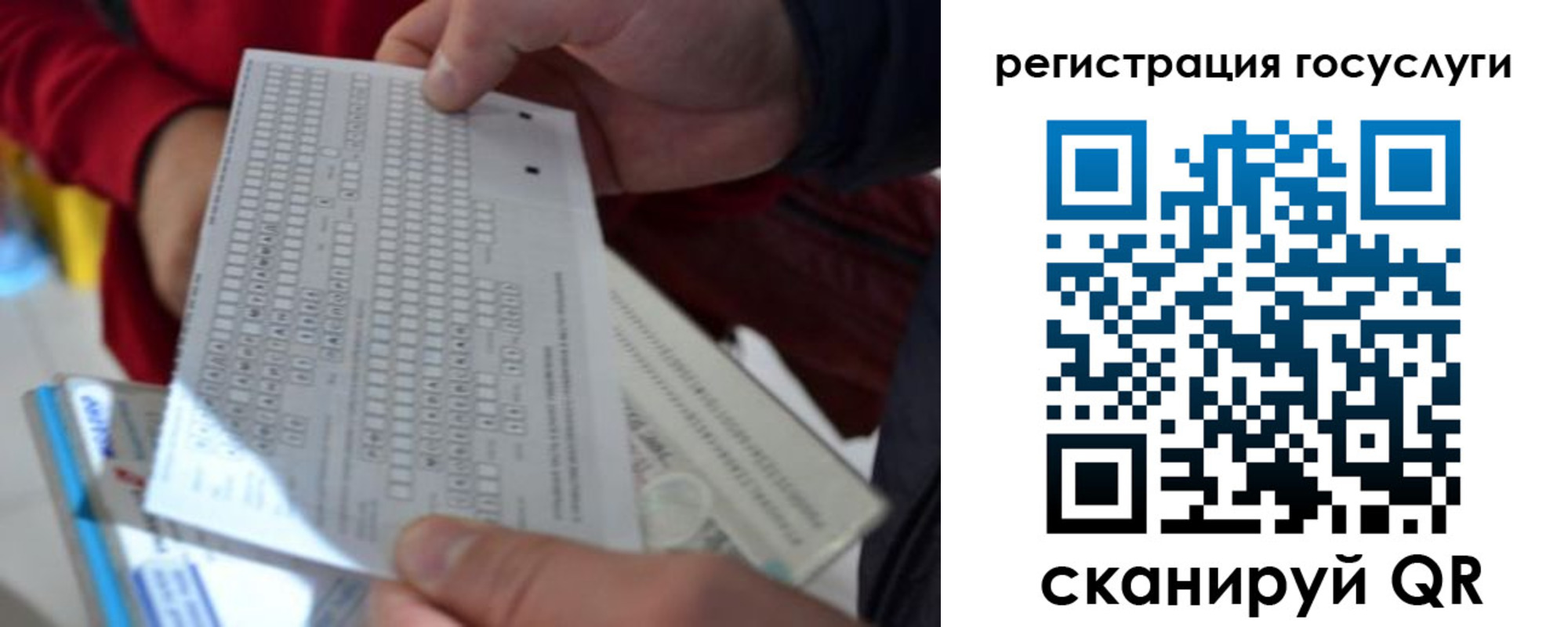 прописка гарантия в Боровичах